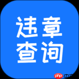 免费查违章历史记录的软件