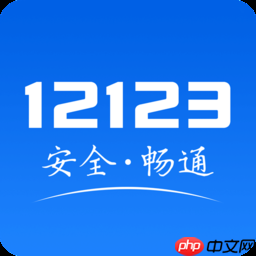 免费查违章历史记录的软件