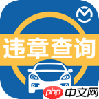 免费查违章历史记录的软件