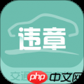 免费查违章历史记录的软件
