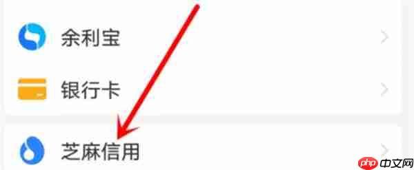 闲鱼怎么解除支付宝的信用授权