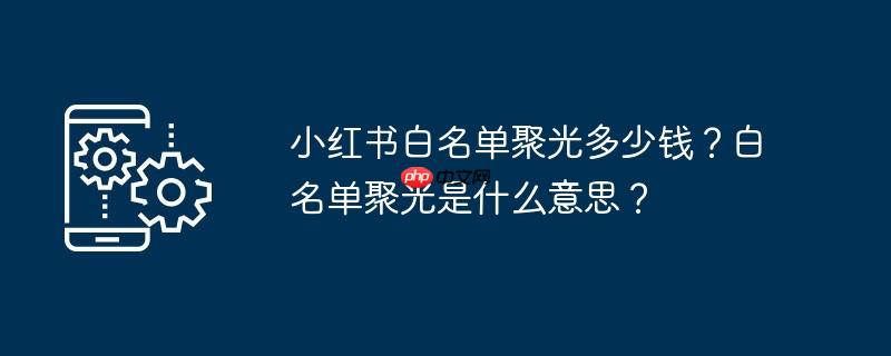 小红书白名单聚光多少钱？白名单聚光是什么意思？