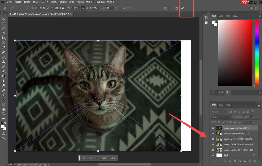 Photoshop7.0怎么拼图?Photoshop7.0拼图操作教程