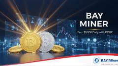 ?? : Bay Miner? ??? ?? Mine Bitcoin (BTC), Dogecoin (Doge) ? Litecoin (LTC)?? ??? ?????.