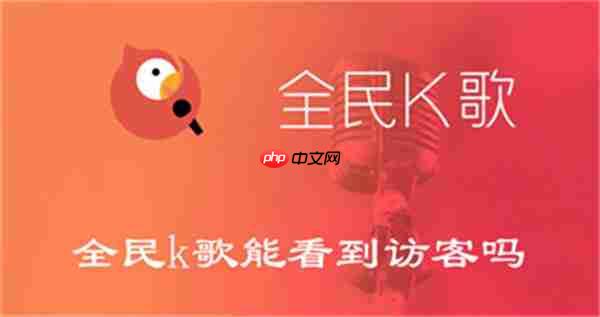 全民k歌能看到访客吗