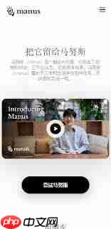 manus软件是什么