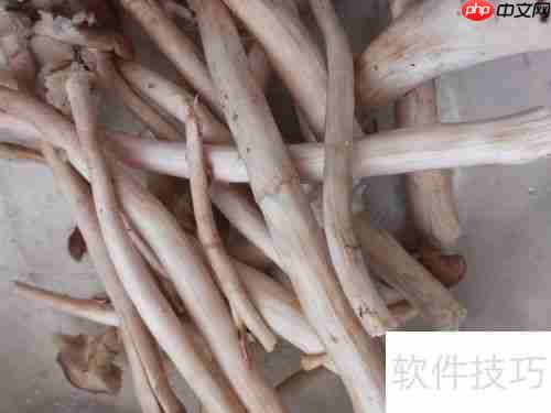健美食谱：鱿鱼面——美味与健康的完美结合