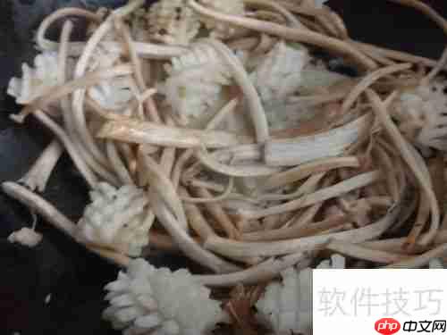 健美食谱：鱿鱼面——美味与健康的完美结合