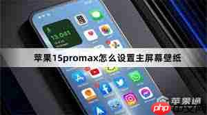 苹果15promax主屏幕壁纸怎么设置