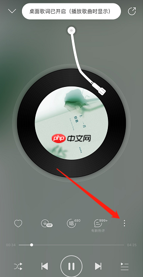 网易云音乐iOS桌面歌词怎么开启