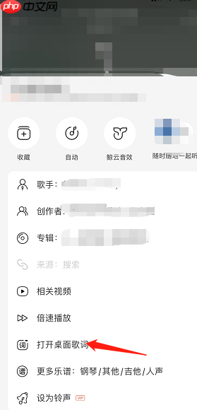 网易云音乐iOS桌面歌词怎么开启