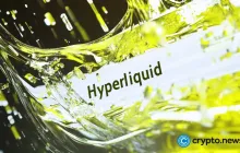 超流动性（HYPE）硬币在收回关键水平后表现出了看涨延续的强烈迹象。