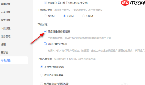 迅雷11怎么开启镜像服务器加速？迅雷11开启镜像服务器加速的方法