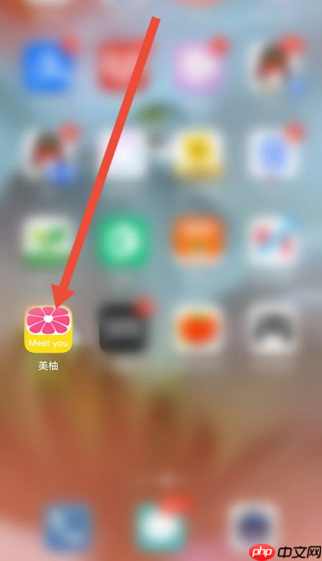 美柚怎么查看免责声明?美柚查看免责声明的方法