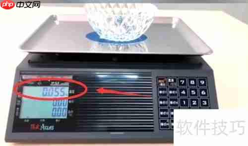 顶尖电子秤使用指南：精准测量，轻松上手