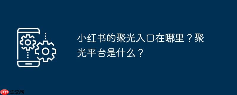 小红书的聚光入口在哪里？聚光平台是什么？