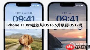 iPhone11pro是否建议升级到ios