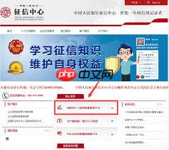 手机如何查个人征信中心官网