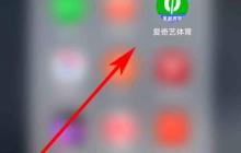 爱奇艺体育会员权益说明怎么看