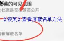 领英如何查看黑名单