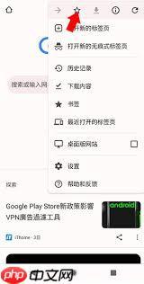 Google浏览器怎样收藏网址