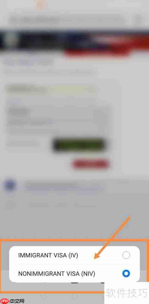 美国签证状态查询系统使用指南