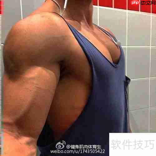 青少年健身健美计划指导手册