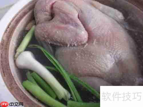 健美食谱：鸡肉面——美味与健康的完美结合