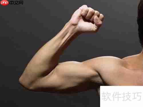 普通人练健美：从零开始的肌肉塑造指南