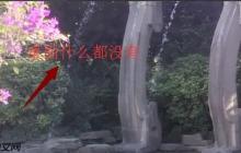 电脑开机桌面什么都没有怎么办?