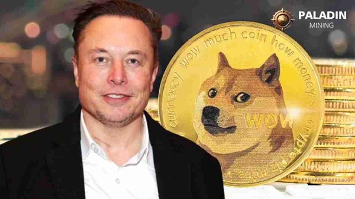 Dogecoin云采矿