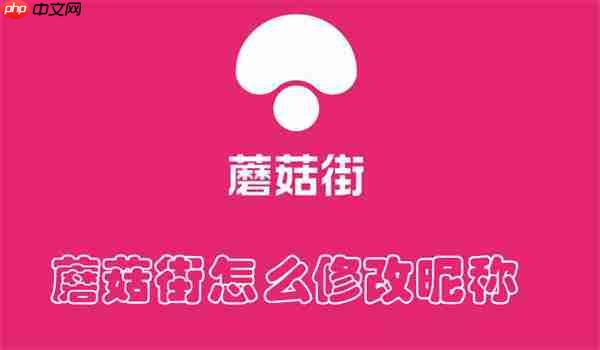 蘑菇街怎么修改昵称