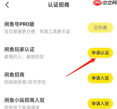 闲鱼玩家认证入口在哪