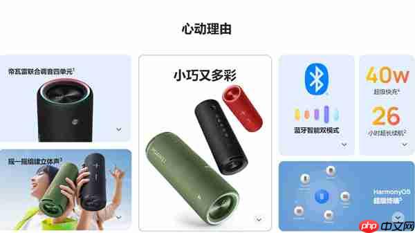 华为soundjoy有多大