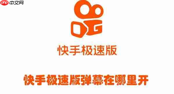 快手极速版弹幕在哪里开