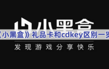 《小黑盒》礼品卡和cdkey区别一览