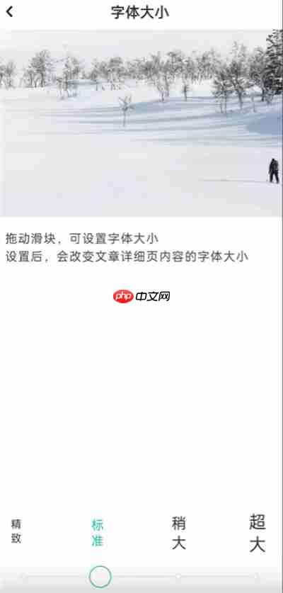 LOFTER怎么更改字体大小