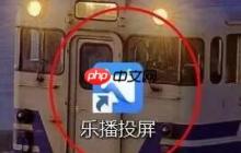 乐播投屏投屏模式自定义如何设置