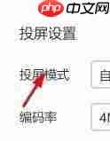 乐播投屏投屏模式自定义如何设置
