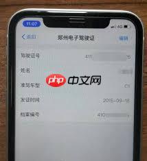 支付宝电子驾驶证交警认可吗