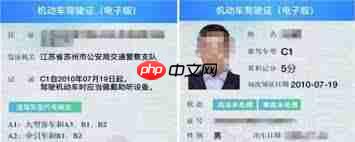 支付宝电子驾驶证交警认可吗