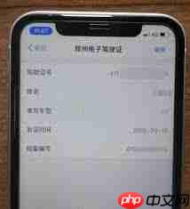 支付宝电子驾驶证交警认可吗