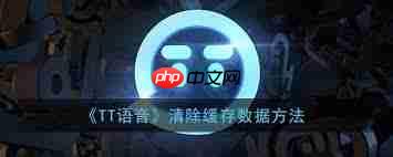 TT语音怎么清理缓存