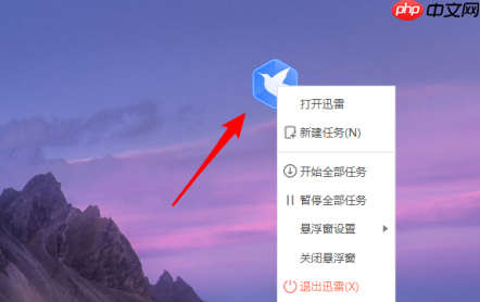 迅雷11怎么显示悬浮窗口?迅雷11显示悬浮窗口的方法