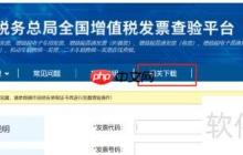 税务UKey开票全流程指南