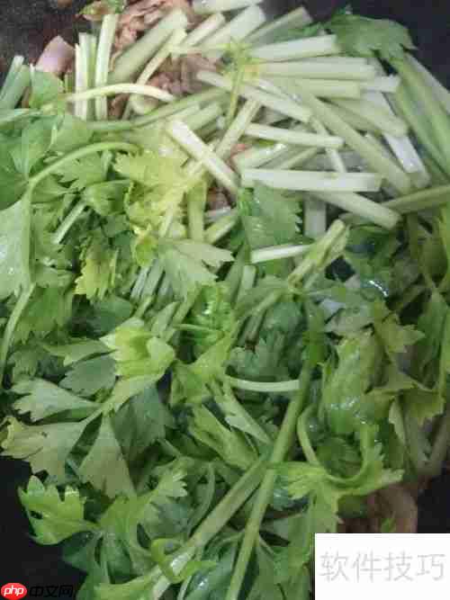 健美食谱：芹菜炒鸭肉的做法
