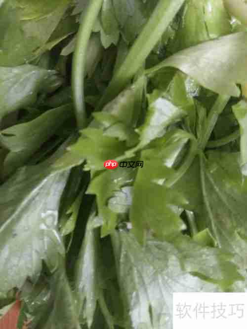 健美食谱：芹菜炒鸭肉的做法