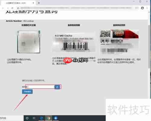 AMD序列号查询系统：轻松获取处理器详细信息