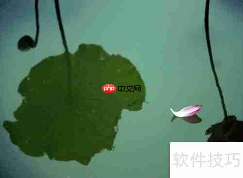 四五十岁如何做最好的自己？掌握这几点，活出精彩人生！
