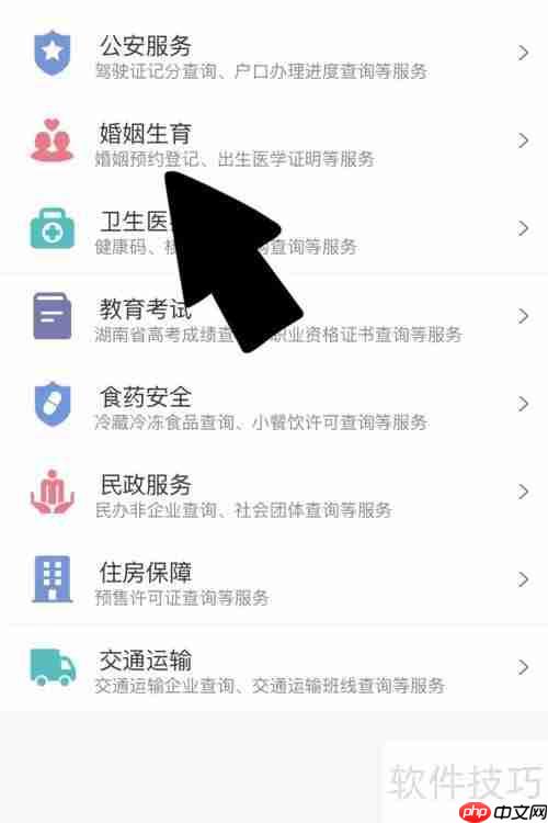 医学出生证明申请指南